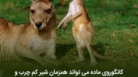  مردانی که در آرایش از زنان پیشی گرفتند!
