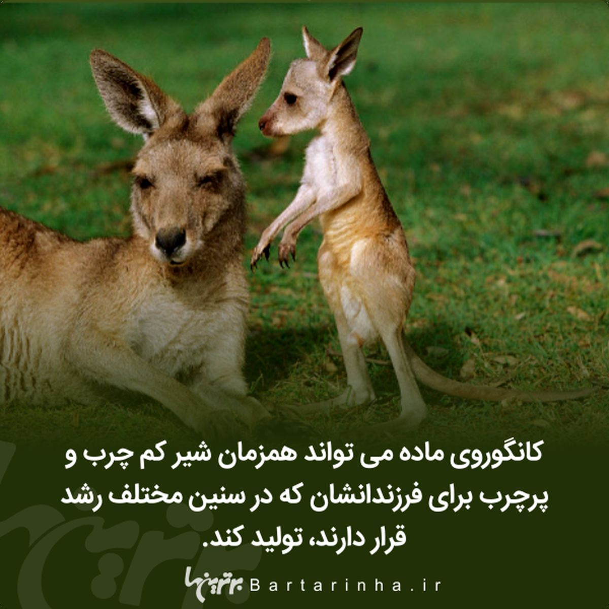  مردانی که در آرایش از زنان پیشی گرفتند!