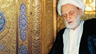 ملاقات آیت الله بهجت و «امام رضاعلیه‌السلام»+فیلم