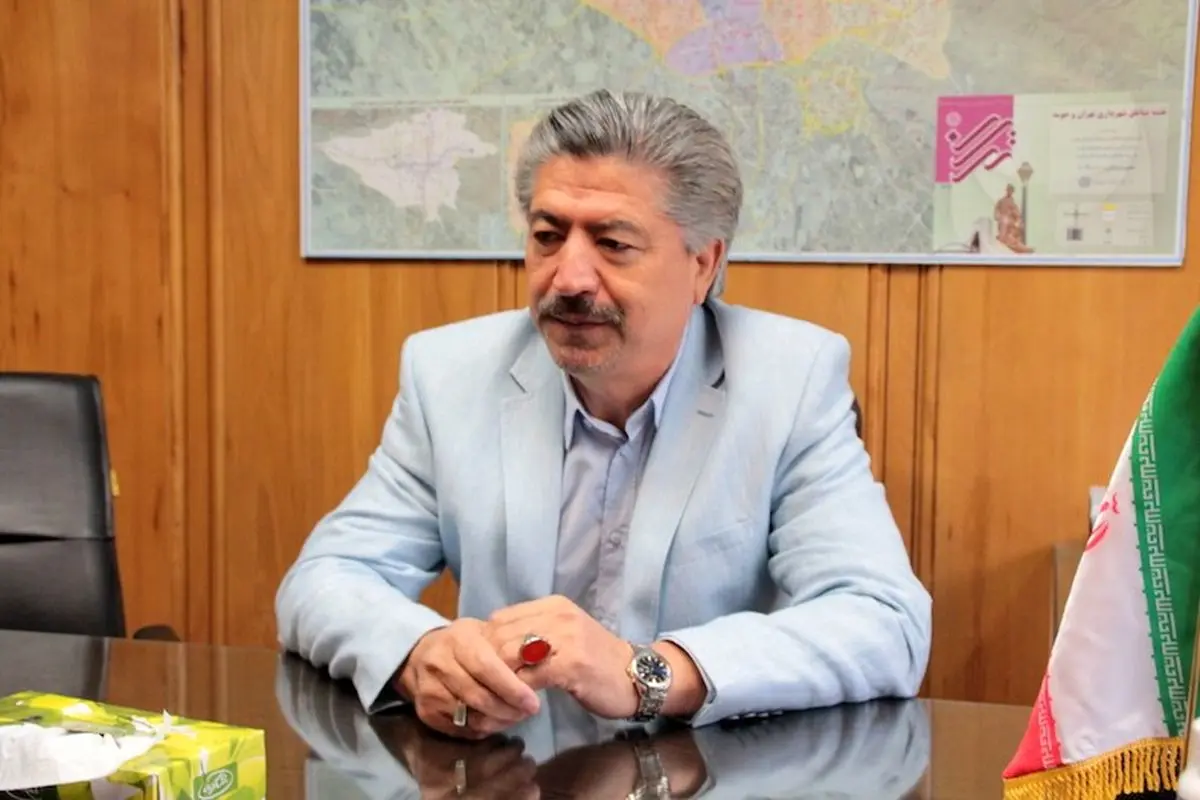 انصاری: یک‌ماه است در جلسات شورا شرکت نمی‌کنم