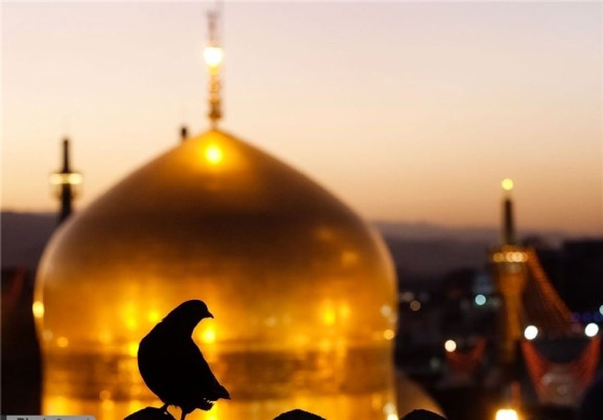 زیارت؛ تبلور مودت اهل بیت(ع)/ زیارت امام رئوف، چه آدابی دارد؟
