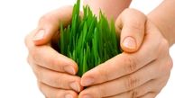 بسترسازی برای کاهش وابستگی واردات محصولات غذایی