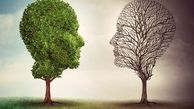 تلاش برای بازسازی دوقطبی «سازش- مقاومت» و «حقوقدان- سرهنگ» برای انتخابات ریاست‎جمهوری 96