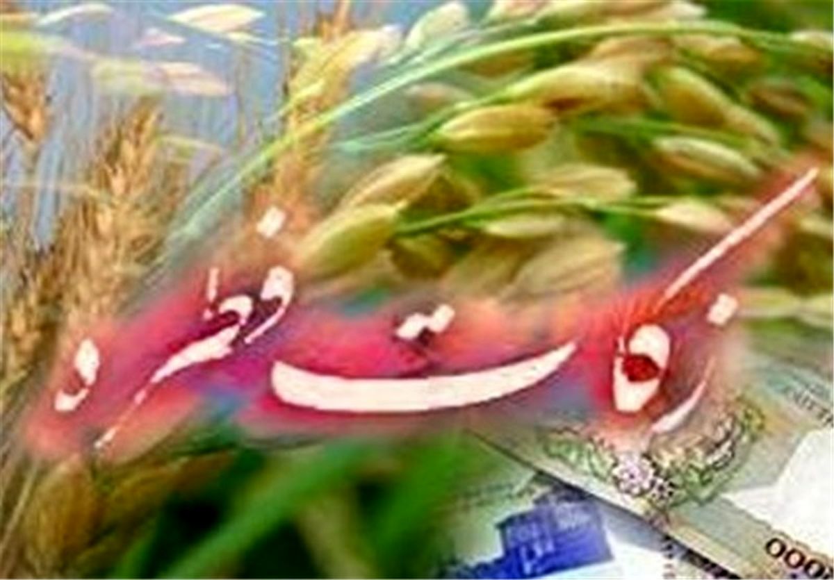 ۳ استفتاء جدید رهبر انقلاب دربارۀ زکات فطره/ آیا می‌توان "زکات فطره" را برای فقیر کارت به کارت کرد؟
