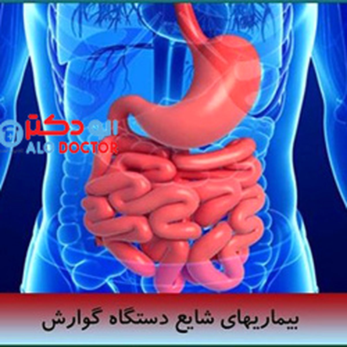 اعتقادات اشتباه در مورد دستگاه گوارش