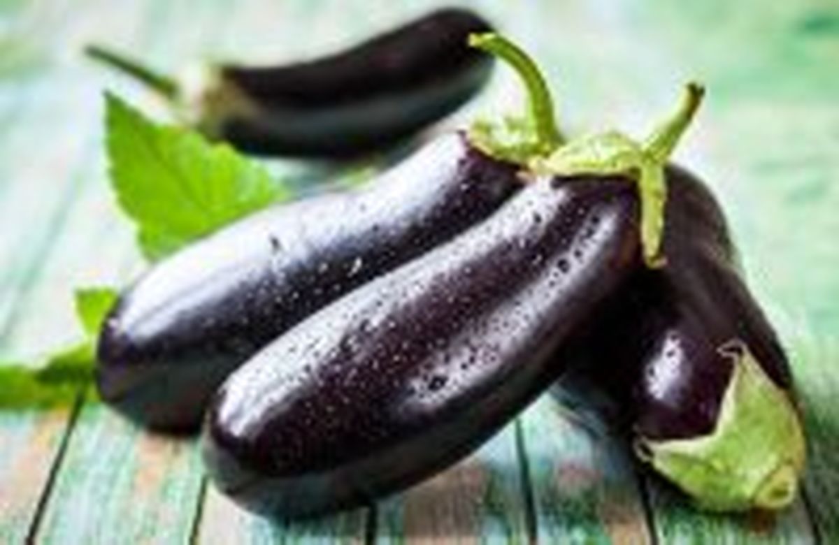 خواص بادمجان برای سلامت انسان
