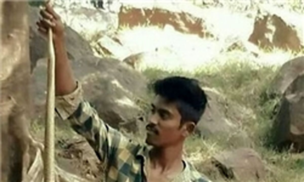 عکس سلفی با «مار کبری»  به قیمت جان پسر جوان تمام شد