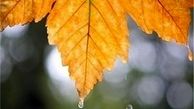 کاهش ۲۵ درصدی بارش در استان تهران