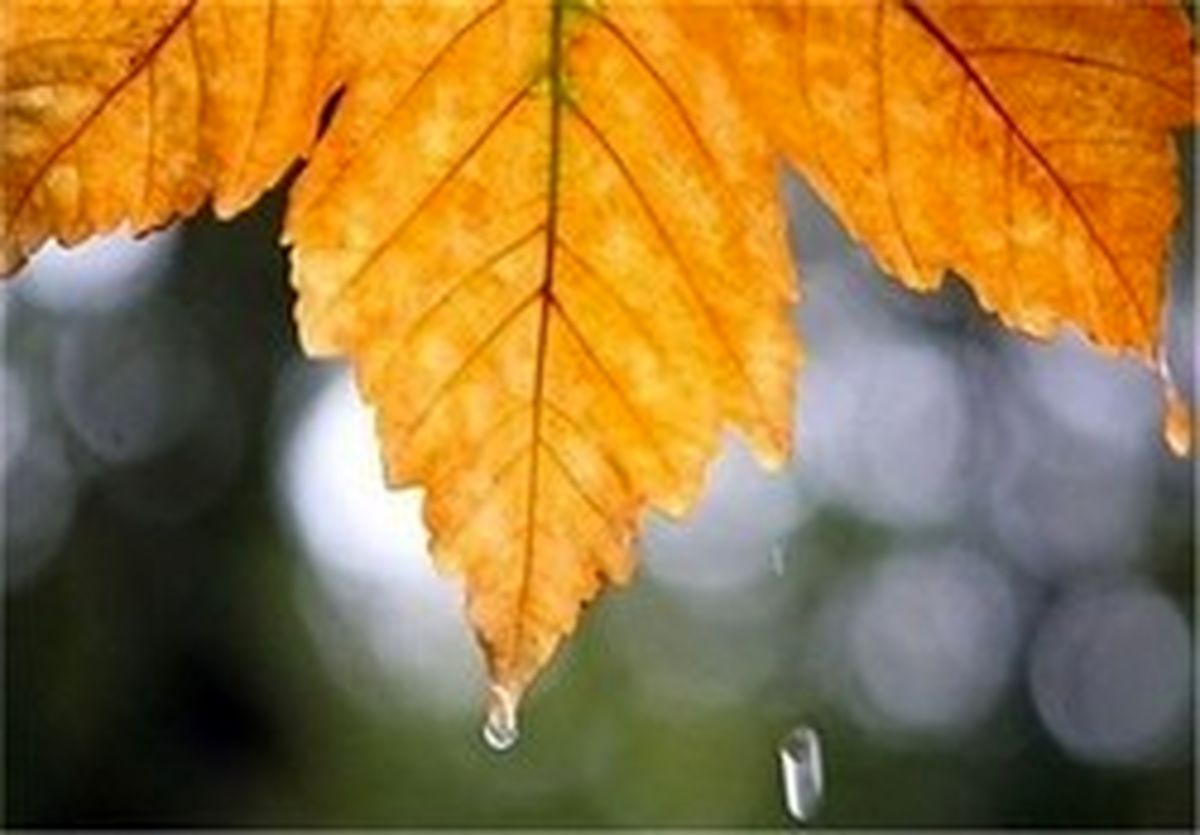 کاهش ۲۵ درصدی بارش در استان تهران
