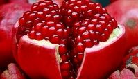 کدام میوه ها برای تقویت سلامت بدن در فصل زمستان مفیدند؟
