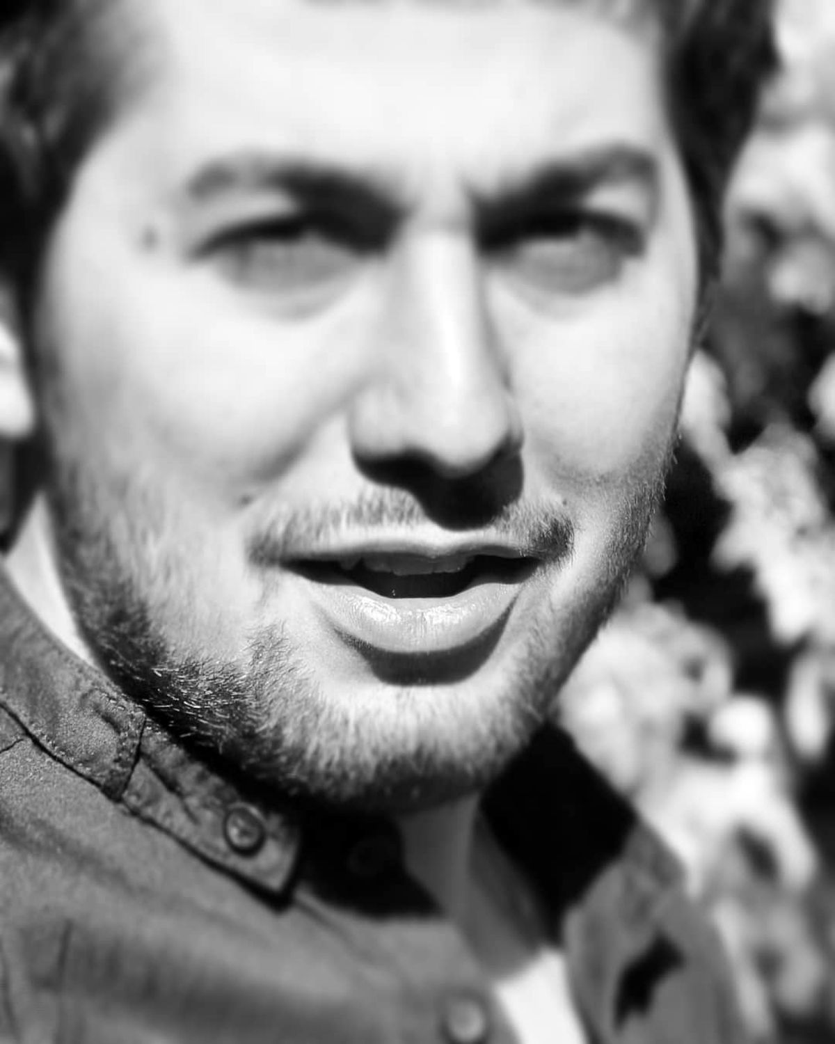 دوست زی زی گولو وقتی بزرگ شده است+عکس