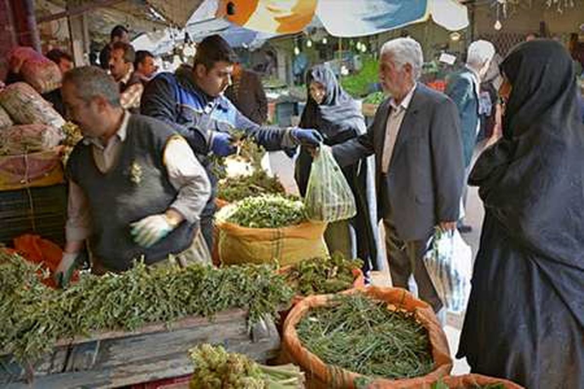 سفره های آذربایجان غربی با غذاهایی از گیاهان کوهی تزئین شد
