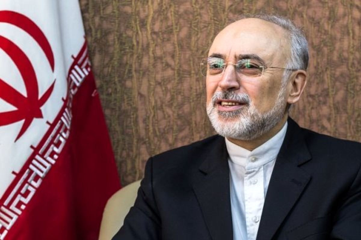 در صورت شکست برجام، شرکای ایران متحمل ضرر فراوانی می شوند
