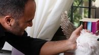 گربه بامزه احسان کرمی + عکس