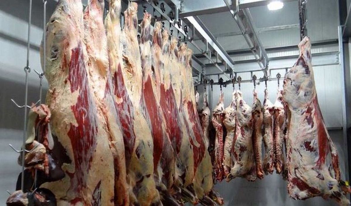 هشدار درباره احتمال شیوع بیماری تب کریمه کنگو