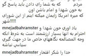 فخرفروشی عضو زن شورای شهر تهراندر فضای مجازی جنجال به پا کرد + عکس