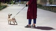 پارک یا توالت عمومی سگ‌ها؟