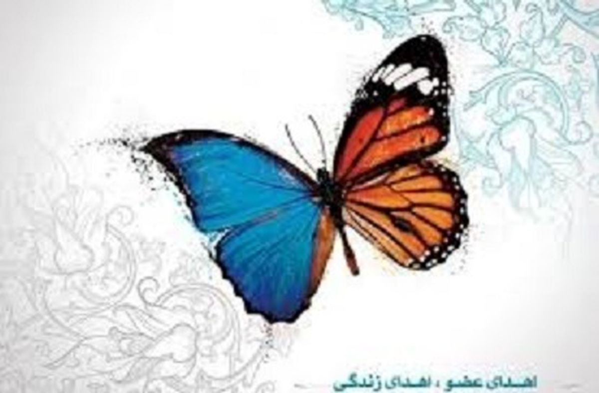 نجات چهار بیمار با اهدا عضو یک بیمار مرگ مغزی