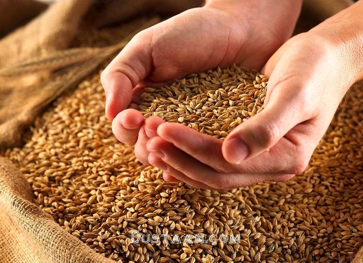 آذربایجان غربی استان برتر در پرداخت زکات