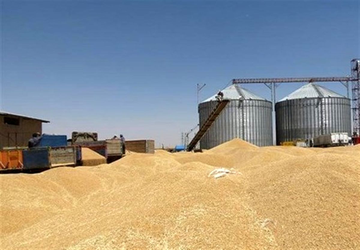 زنجان ظرفیتی بیش از 500 هزار تن ذخیره سازی گندم در 26 سیلو را دارد