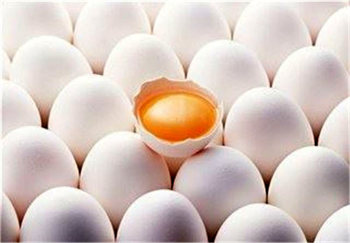 نرخ تخم مرغ هزار تومان کاهش یافت