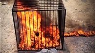 داعش دختران کُرد را در موصل عراق زنده سوزاند