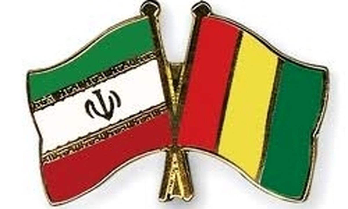 دیدار سفیر ایران با وزیر اجتماعی گینه