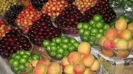 آخرین قیمت میوه‌های نوبرانه‌ در بازار