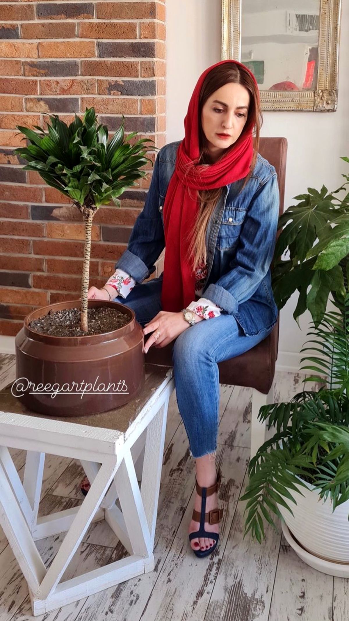خانه زیبای شقایق دهقان + عکس
