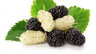 توصیه مصرف توت به افراد لاغر