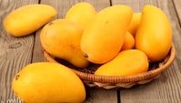 17 مورد از خواص انبه زرد برای بدن