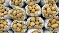 صادرات سیب زمینی ارتباطی به گرانی ندارد