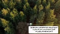 اسامی برگزیدگان نمایشگاه عکس "ثبت جهانی جنگل‌های هیرکانی" اعلام شد