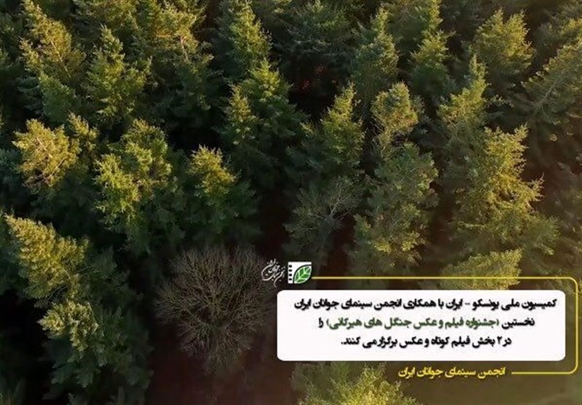اسامی برگزیدگان نمایشگاه عکس "ثبت جهانی جنگل‌های هیرکانی" اعلام شد