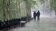 بارش باران در برخی استان کشور