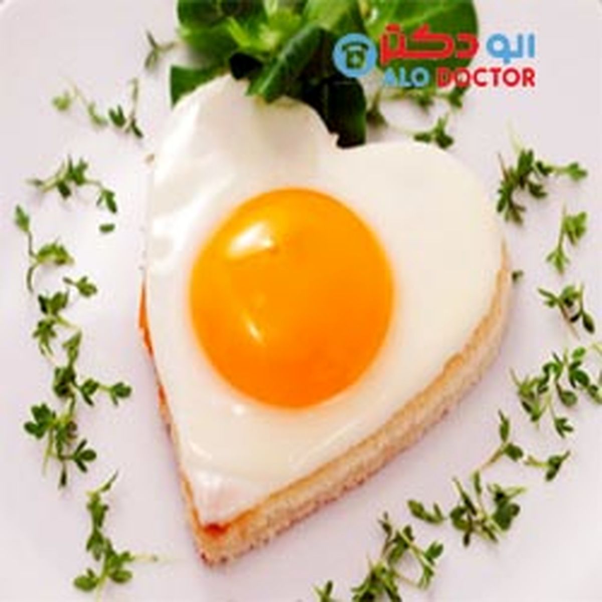 تخم مرغ را سرخ کنیم یا آب پز؟