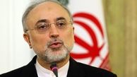 صالحی از آخرین دستاوردهای شرکت سوخت راکتورهای هسته ای بازدید کرد