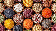خطر ازدیاد آهن بدن برای سلامتی و روش‌های درمانی