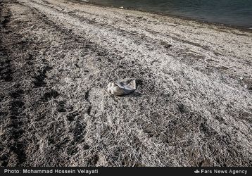 13930629160310398_PhotoL