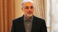 صالحی: پرونده هسته‌ای رو به حل شدن می‌رود