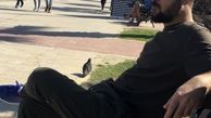 احمد مهرانفر در خارج از کشور + عکس