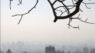 هوای تهران در مرز سلامت