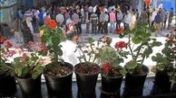 کدام هنرمندان در انتخابات شرکت کردند؟