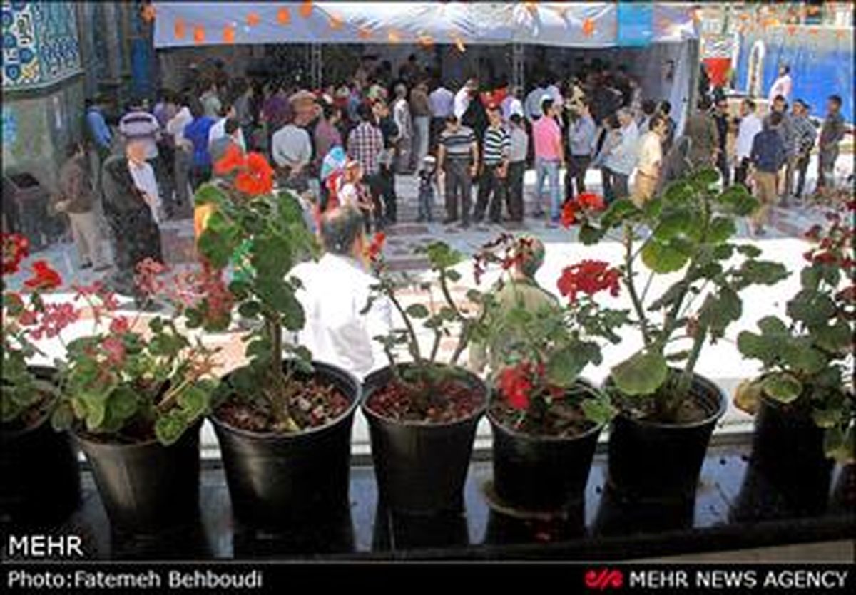 کدام هنرمندان در انتخابات شرکت کردند؟
