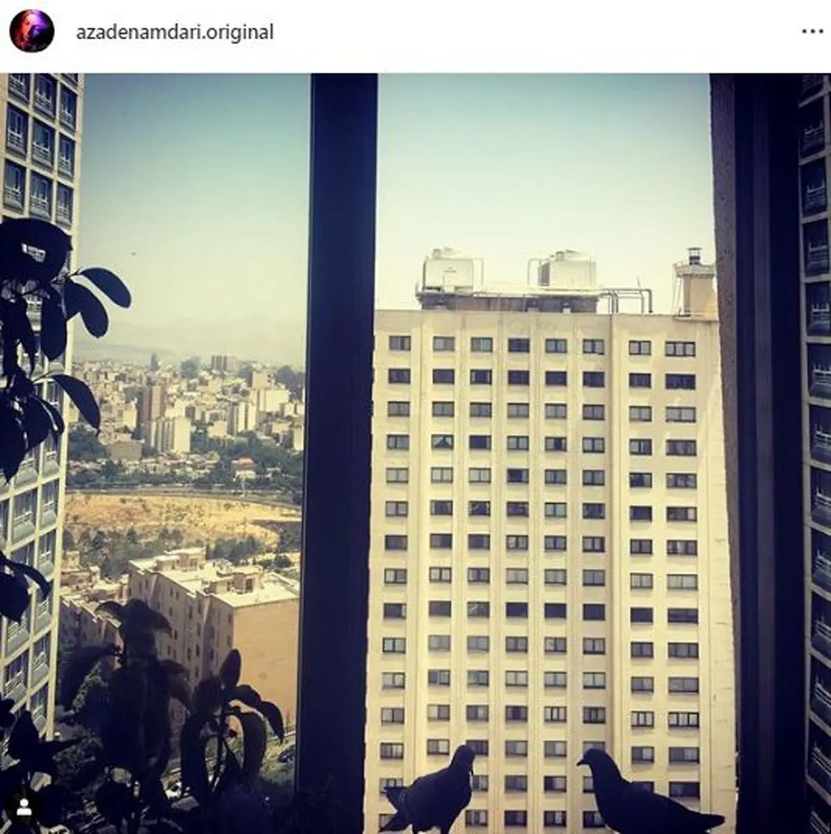 آزاده نامداری و ترس تنها بودنش