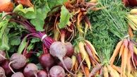 ۵ گیاه خوراکی که خواص زیادی دارند را بشناسید