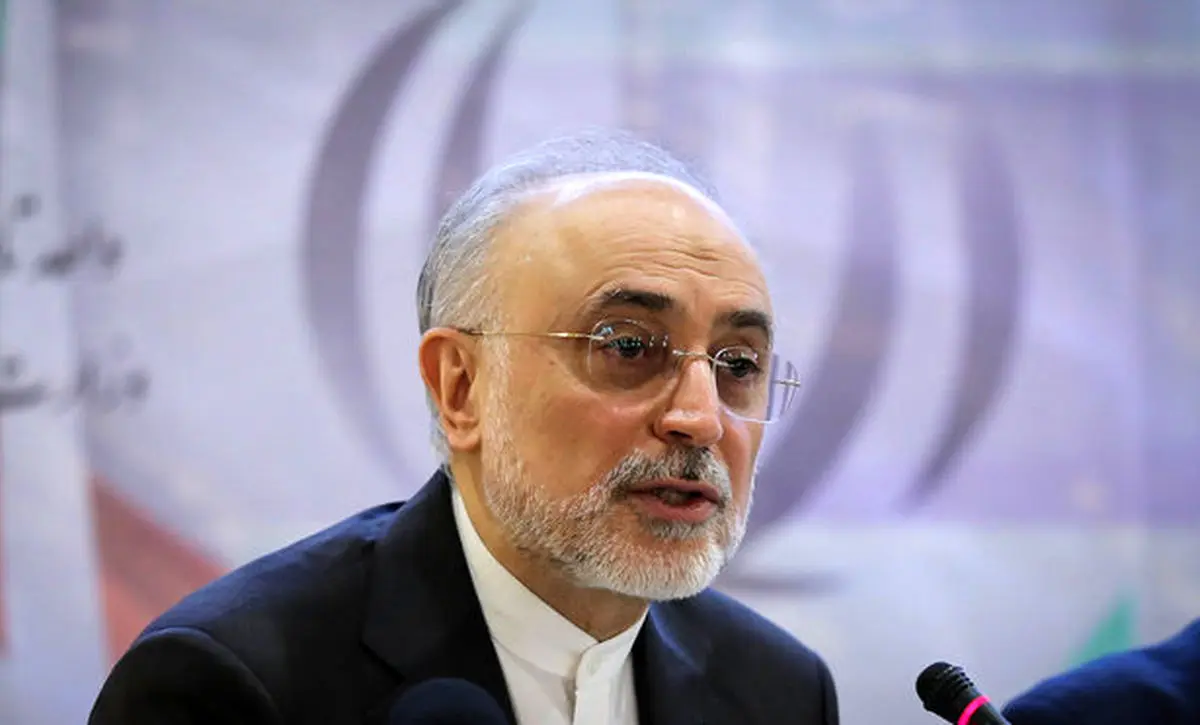 صالحی: آمادگی لازم برای بالا بردن سطح غنی سازی را داریم