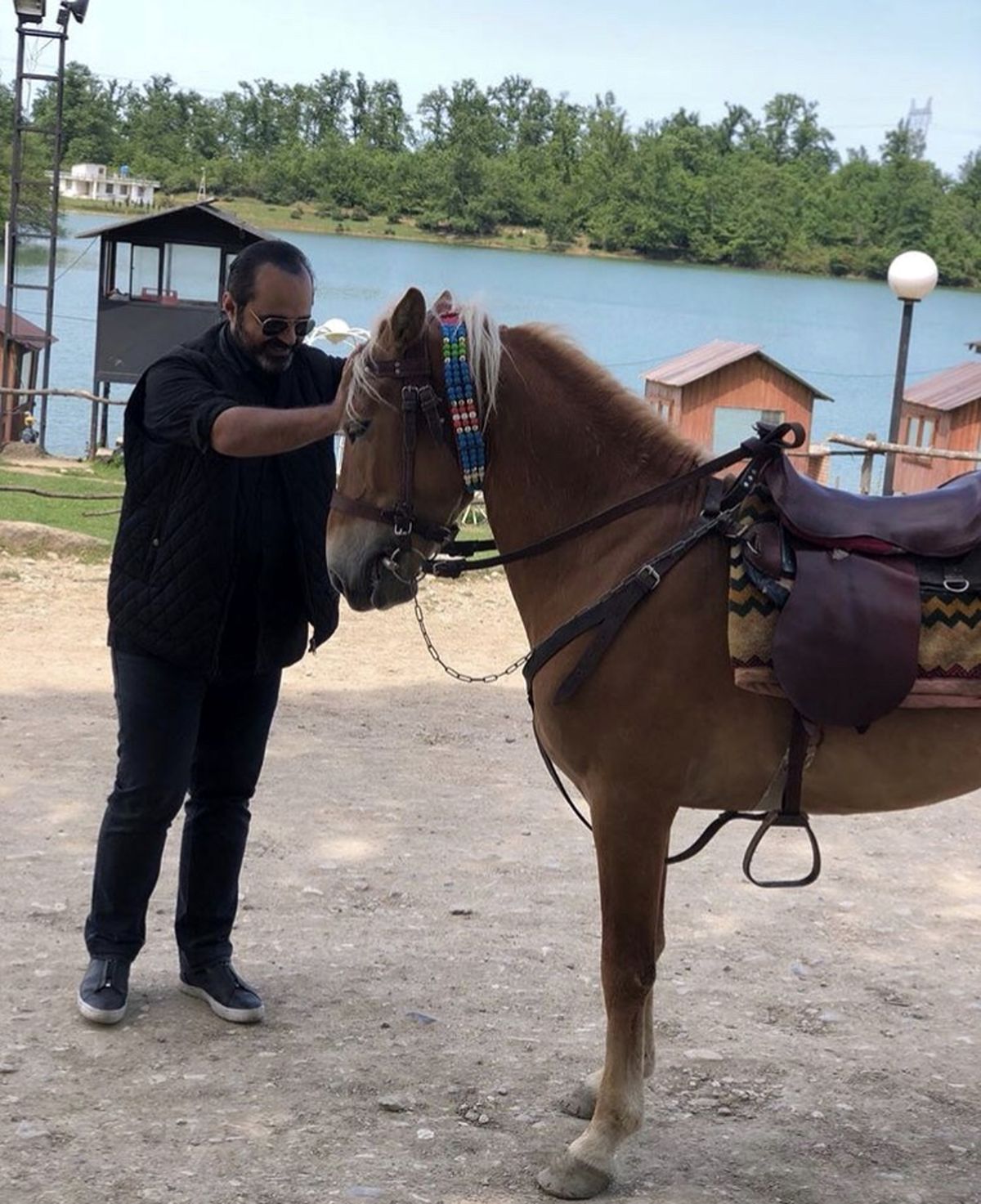 اسب زیبای آقای بازیگر + عکس