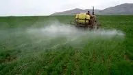 312 هزار هکتار از مزارع کرمانشاه سمپاشی شد