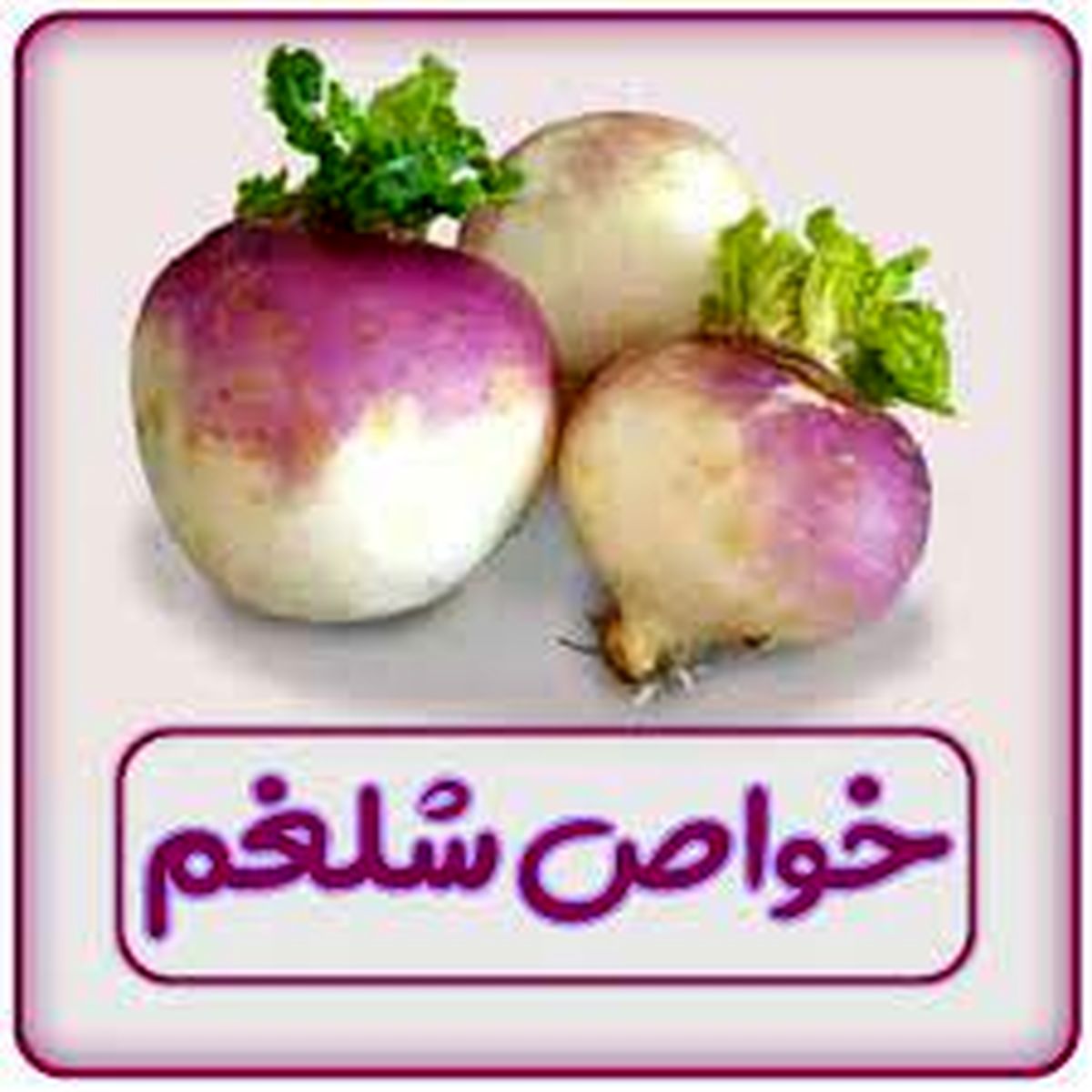 آنچه از شلغم نمی دانید !